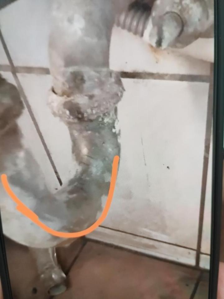 水管維修案件圖片