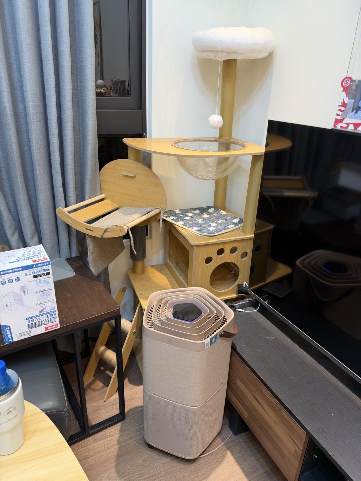 搬家案件圖片