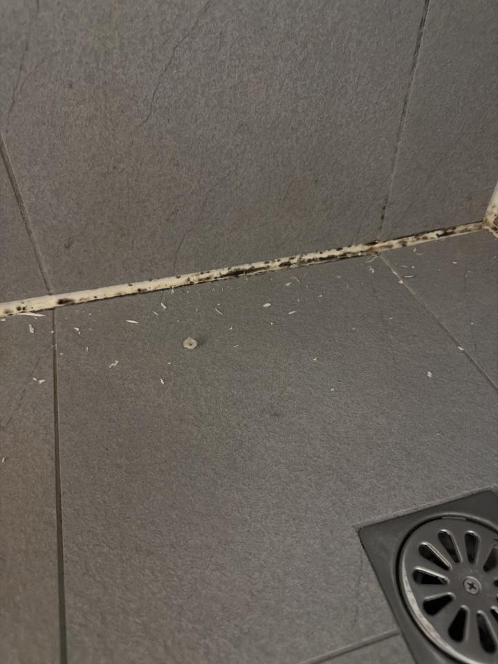 矽利康工程案件圖片