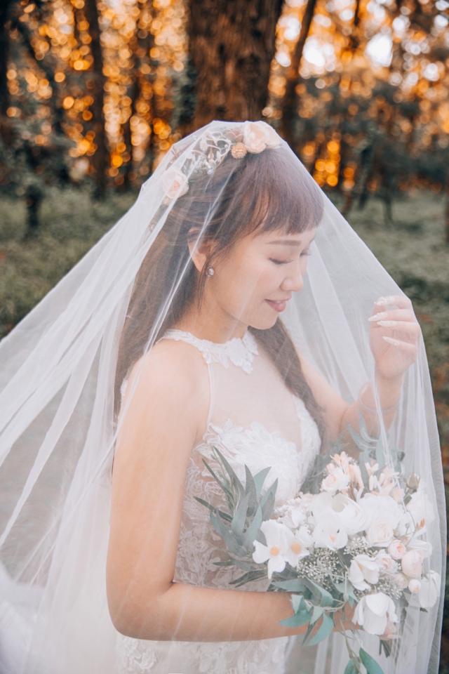 背板設計案件圖片