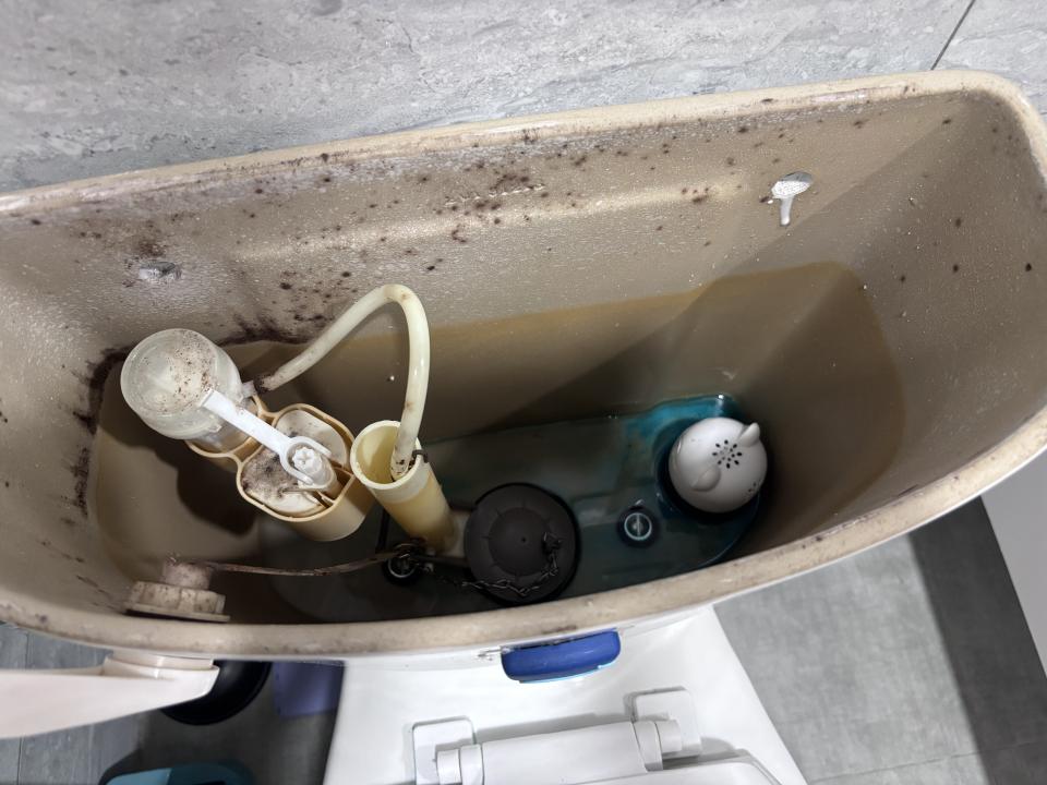 馬桶裝修案件圖片