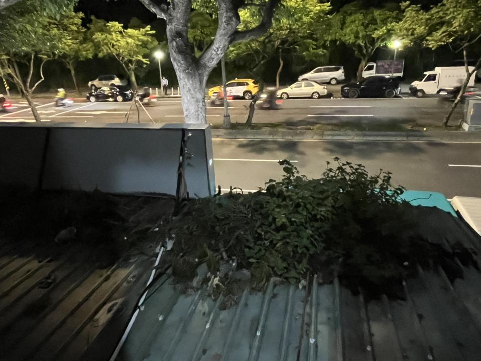 園藝維護案件圖片