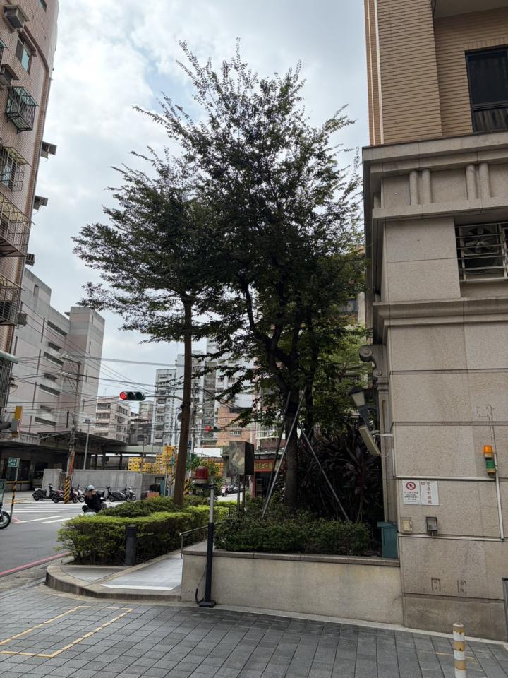 園藝維護案件圖片