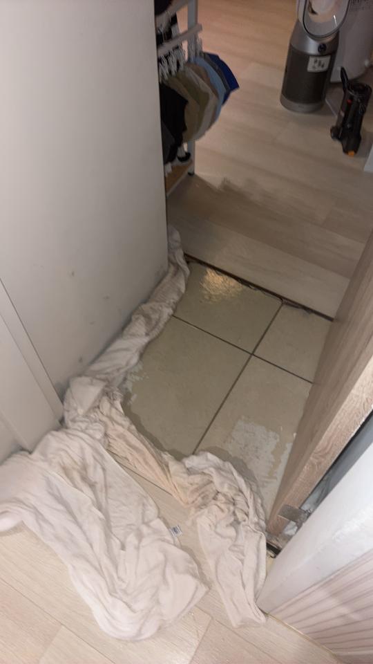 地板施工案件圖片