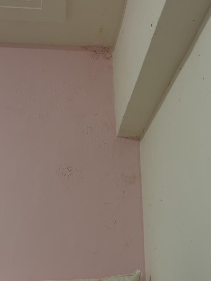 油漆工程案件圖片