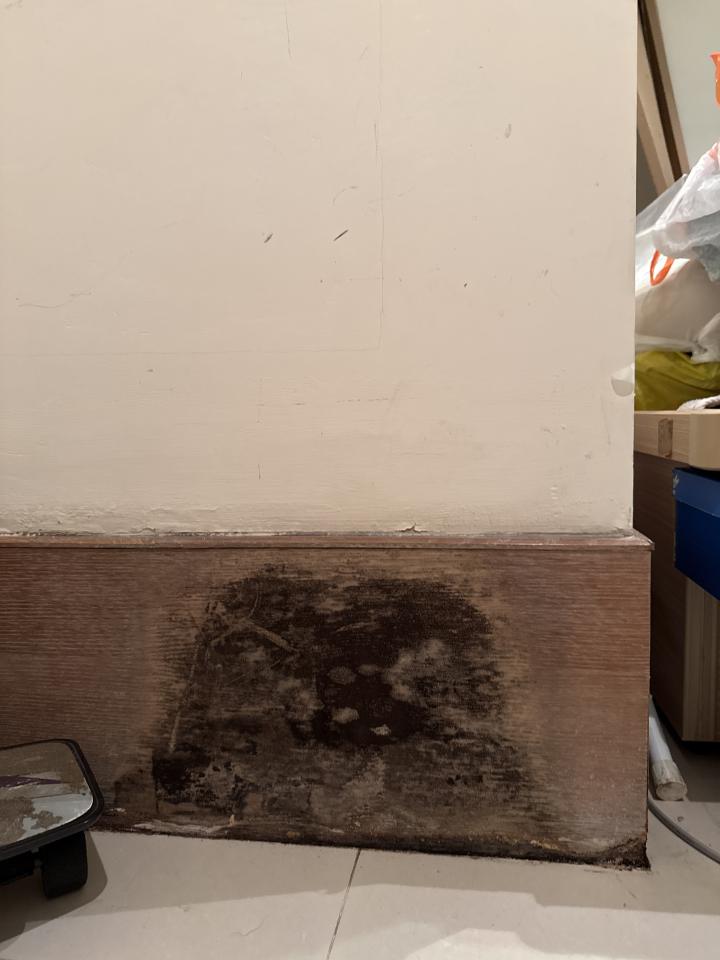 除霉案件圖片