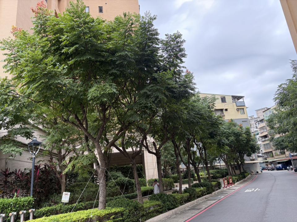 園藝維護案件圖片