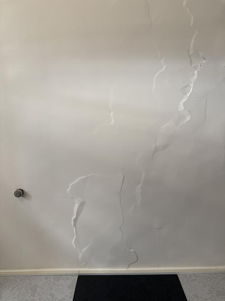 油漆工程案件圖片