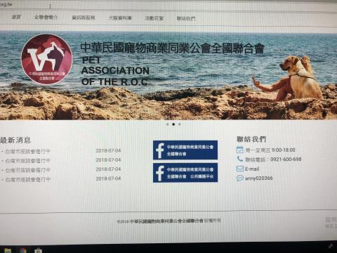 蕭宇笙（竹子工作室） - 行銷官網架設，客製化行銷需求。也可以配合使用Wordpress 搭建後台。