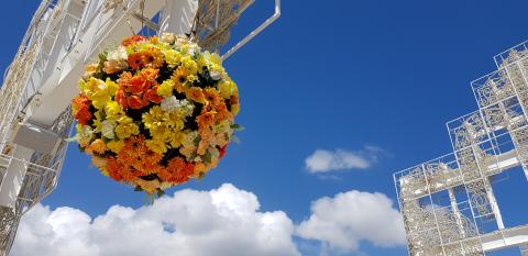 幫助加油站 - 順光花彩襯托與天空的 歡樂旅程