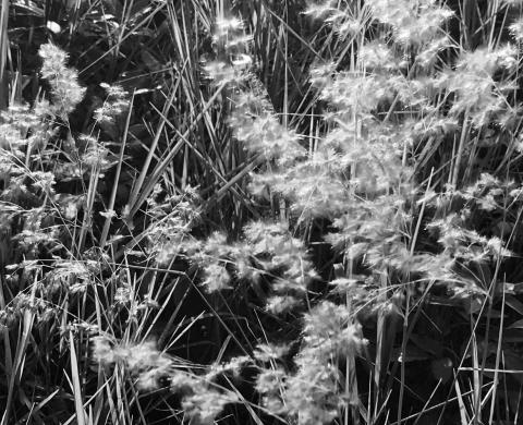 藍斯洛 影像創作 -  藍斯洛 影像創作 -