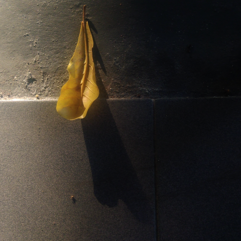 提供時薪高工作服務的專家鄭琳