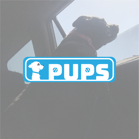 Ever Hochen - Logo for a puppy products, Pups.