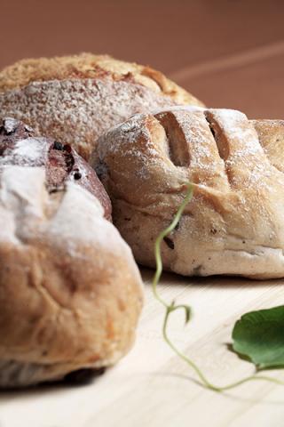 美光攝影工作室 - 