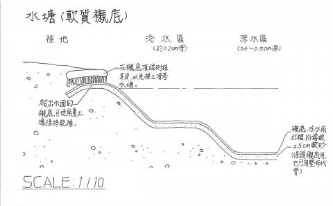 享設計個人工作室 - 景觀施工圖繪製(人工池塘)