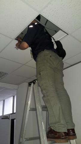 旭輝消毒 - 老鼠巡視