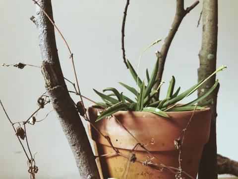 張雅閔 - 商品攝影