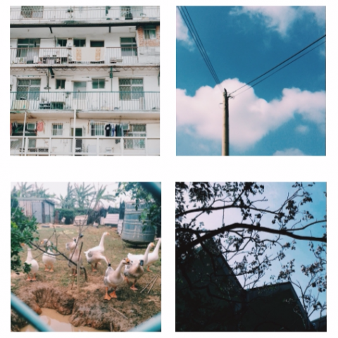 從瑀庭 - 【生活攝影】
驚喜總在生活裡，讓自己用心去挖掘。