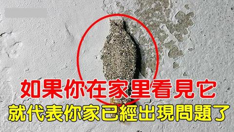 清塵除螨專家 - 灰塵都不清的話  出現了灰塵蟲是個很可怕的事情啊.... 清塵除螨專家 - 灰塵都不清的話  出現了灰塵蟲是個很可怕的事情啊....