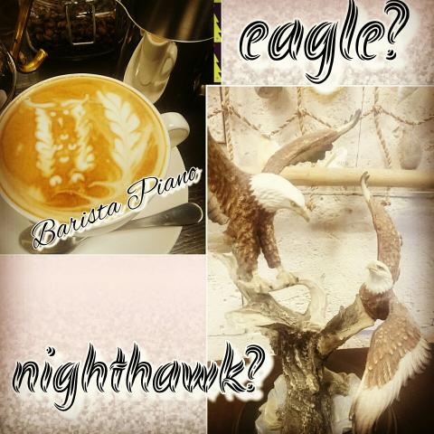 心靈小屋咖啡館店長咖啡師 - 家用咖啡機拉花:貓頭鷹