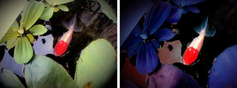 Peggy - 照片拍攝、影像後製