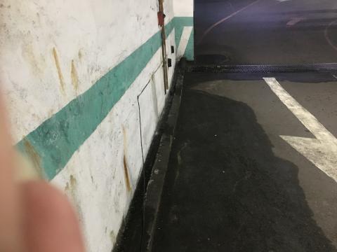 洋洋 - 車道抓漏