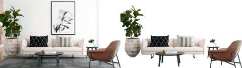 Lin Min - 圖片去背