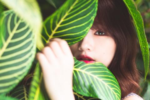 卡茲影像工作室 - 