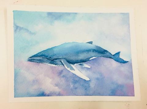 Baobude - 水彩作品