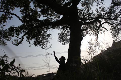 張岳文 - 風景藝術照