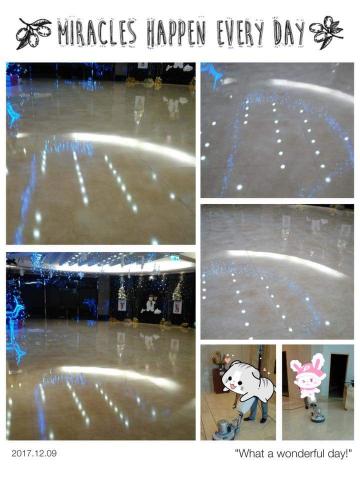 shirley - 地板拋光打蠟