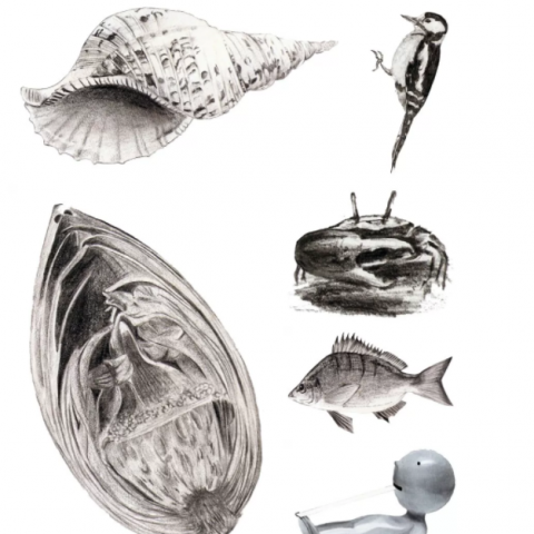 GOdesign勾設計 - 手繪插畫