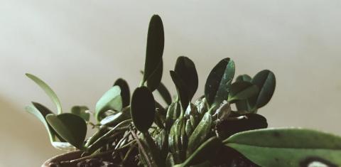 張雅閔 - 商品攝影