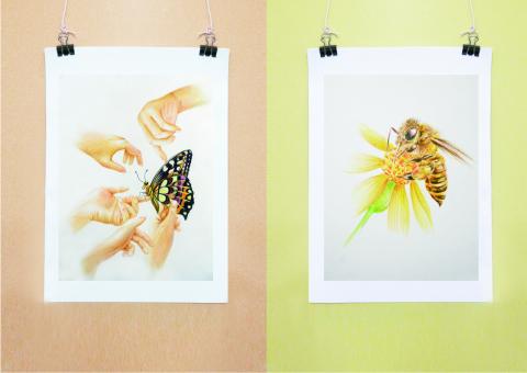 Ning studio - 色鉛練習