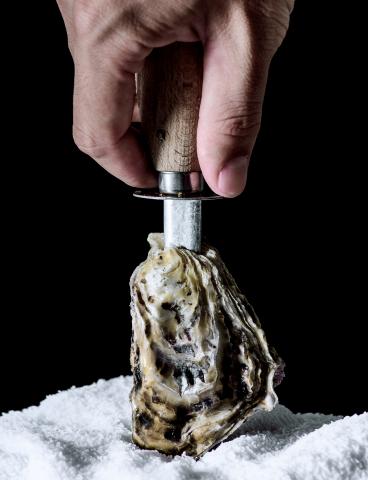 昂攝影工作室 - 