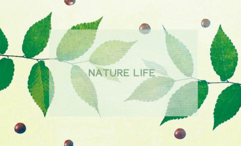 Yi Zhen - 名片設計