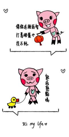 Iris C - 小豬皮皮