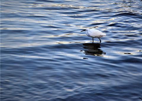 Tsai's - 風景攝影