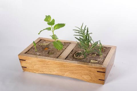 After School Design Institute - 