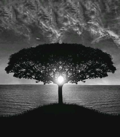 Artemis - 生命之樹-We are All.