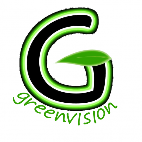 提供soho服務的專家Greenvision Commodities ( Beliz ) 