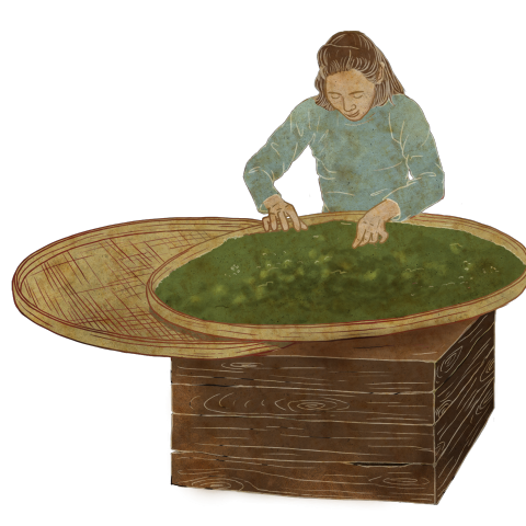 三層肥狐狸 - 展場插畫 / 撿茶女
使用工具：Photoshop