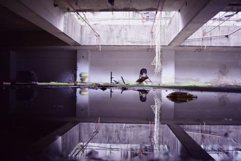 駱昱晨 - 個人攝影作品