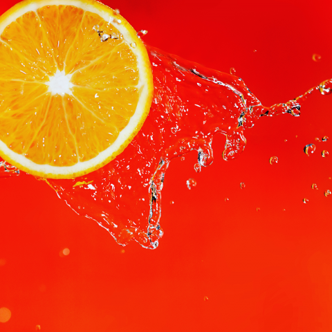 提供火蟻巢服務的專家鄭能火攝影工作室