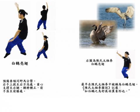 張天豪 - 象形演變的招式介紹。