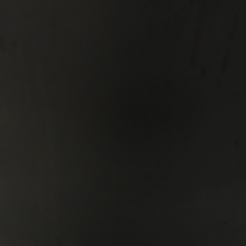 提供寄養犬服務的專家Goodshoho