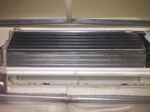 鄭文鐘 - 整個清潔完的照片