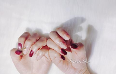 Dandelion 蒲公英時尚美學工作室 - 