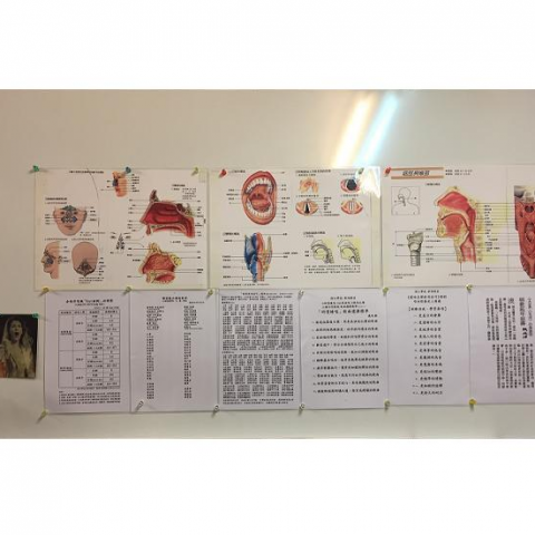 鳳鳴 歌唱課程 - 圖文並茂、觀念突破、即時有效的各種「歌唱資訊」