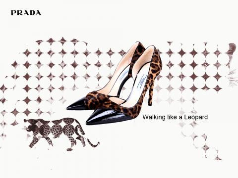 徐小姐 - 燈箱廣告排版試作